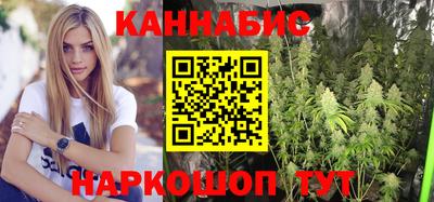 Альфа ПВП Можга