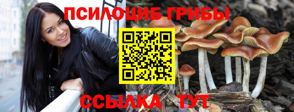 Учалы  Псилоцибиновые грибы прущие грибы  Вход с VPN  Псилоцибиновые грибы прущие грибы 